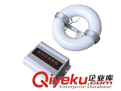供应专用全系列各规格无极灯镇流器 无极灯电子镇流器-扬州杰祥照明科技提供供应专用全系列各规格无极灯镇流器 无极灯电子镇流器的相关介绍、产品、服务、图片、价格扬州杰祥照明科技、高频无极灯;低频无极灯;工矿工厂灯具;隧道灯具;路灯灯杆定制;路灯灯具;加油站灯具;投光灯具;道路照明;户外照明;庭院灯系列;草坪灯系列;太阳能照明系列;球场灯具;工矿灯灯罩;景观灯系列;路灯杆;路灯头